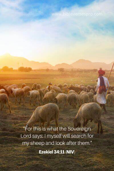 Ezekiel 34_11 (Niv) (