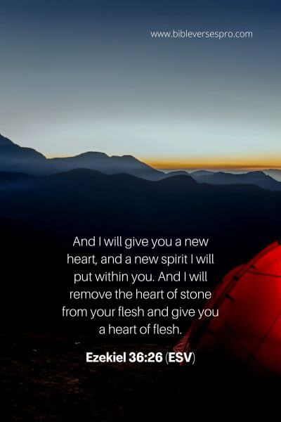 Ezekiel 36_26 (ESV)
