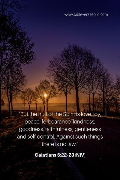 Galatians 5_22-23 (Niv)