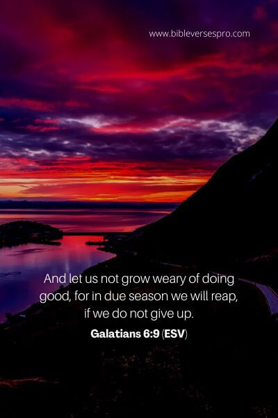 Galatians 6_9 (ESV)