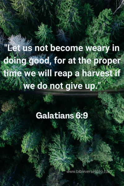 Bible Verse About Standing Up For What Is Right
