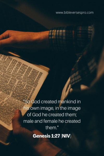 Genesis 1_27 (Niv)