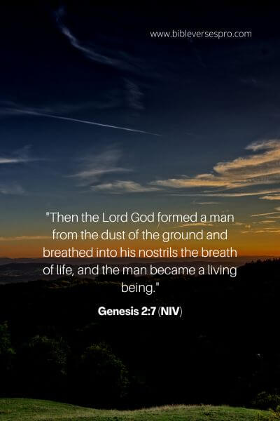 Genesis 2_7 (NIV)