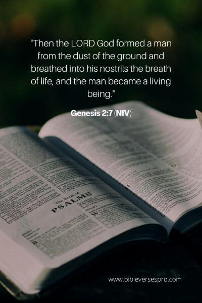 Genesis 2_7 (Niv)