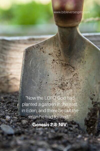 Genesis 2_8 (NIV)