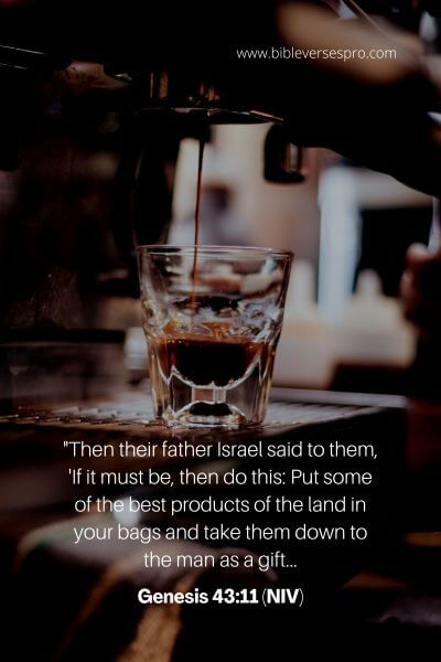 Genesis 43_11 (Niv)