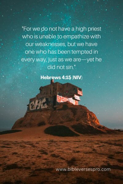 Hebrews 4_15 (Niv)