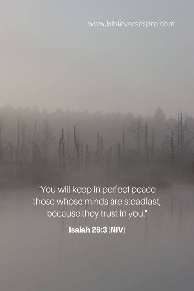 Isaiah 26_3 (Niv)