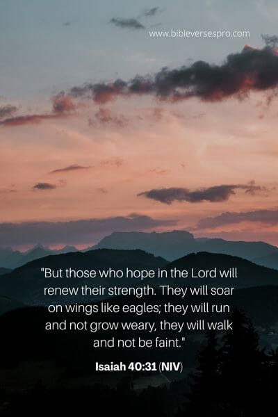 Isaiah 40_31 (NIV)