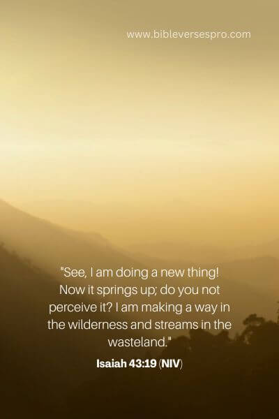 Isaiah 43_19 (Niv)