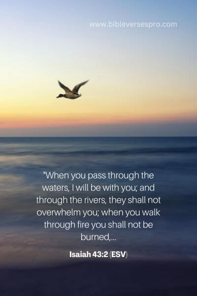 Isaiah 43_2 (Esv)