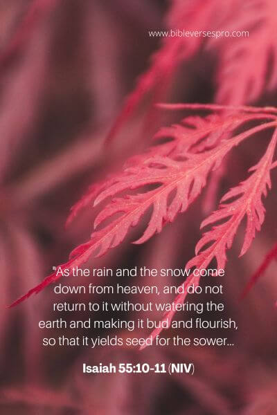Isaiah 55_10-11 (NIV)