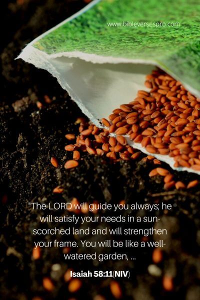 Isaiah 58_11(NIV)
