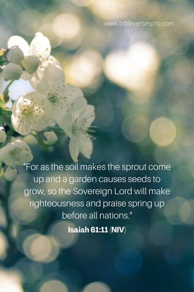 Isaiah 61_11 (NIV)