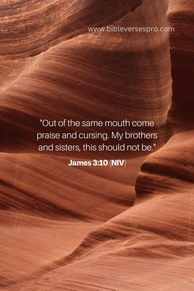 James 3_10 (Niv)