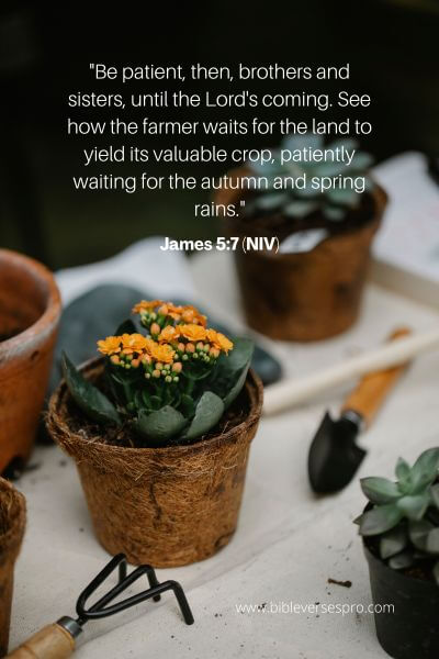 James 5_7 (NIV)