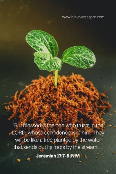 Jeremiah 17_7-8 (NIV)