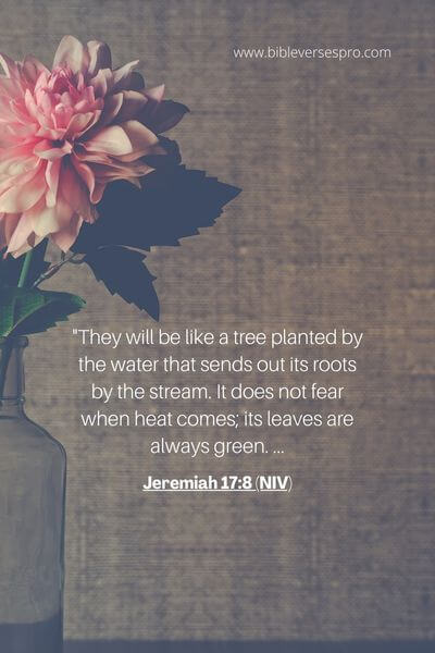 Jeremiah 17_8 (NIV)