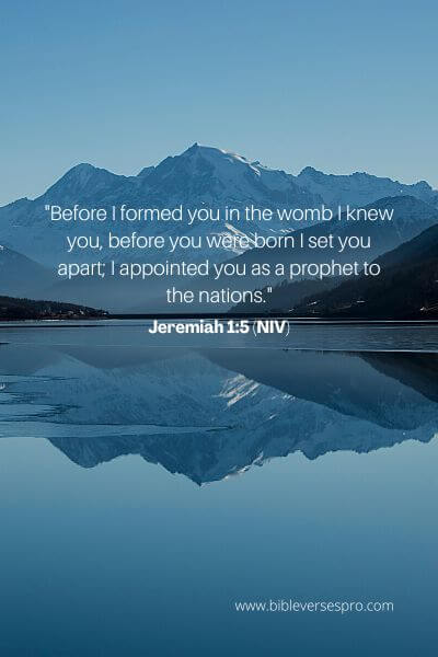 Jeremiah 1_5 (Niv)
