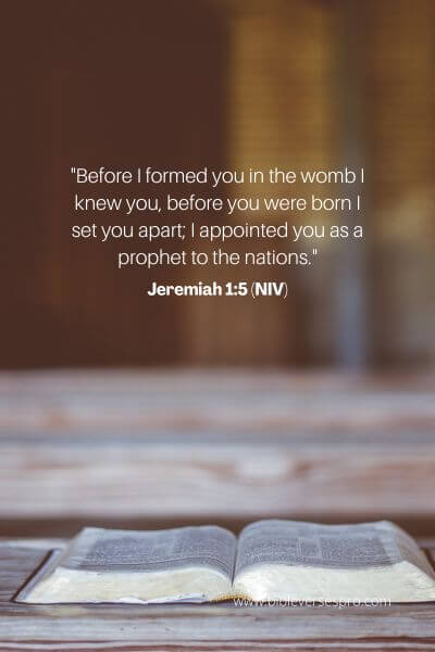 Jeremiah 1_5 (Niv)