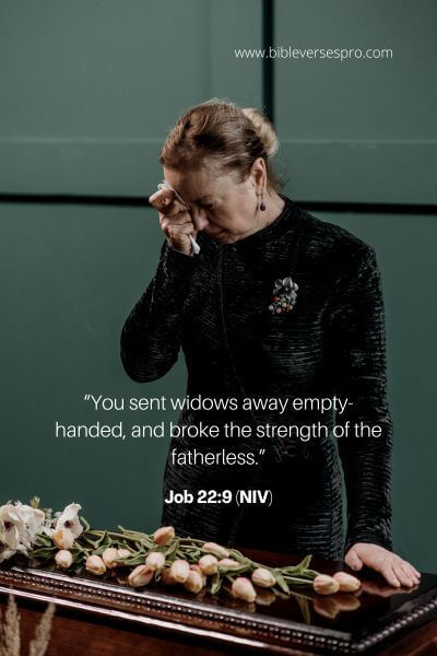 Job 22_9 (NIV)