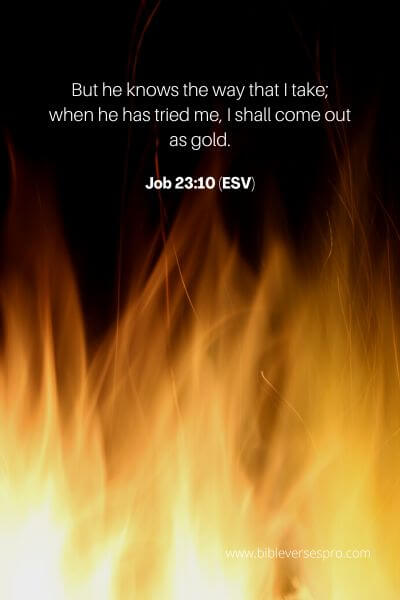 Job 23_10 (Esv)