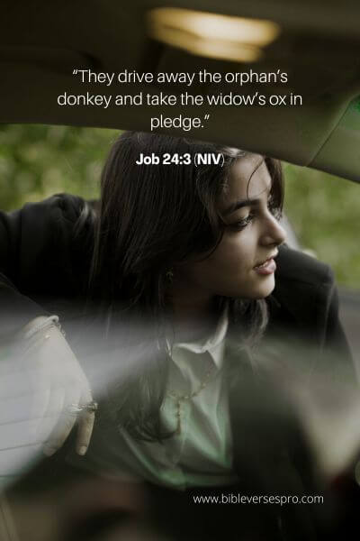 Job 24_3 (NIV)