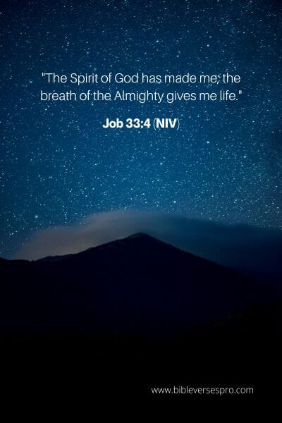 Job 33_4 (NIV)