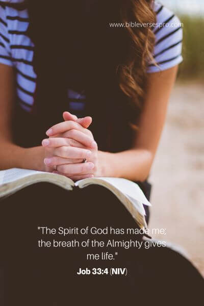 Job 33_4 (Niv)