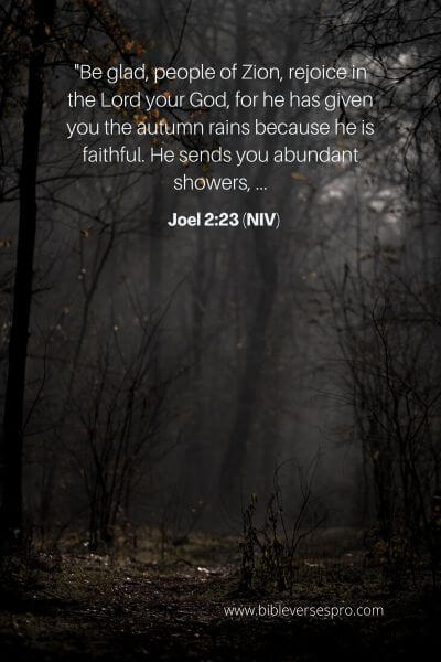 Joel 2_23 (NIV)