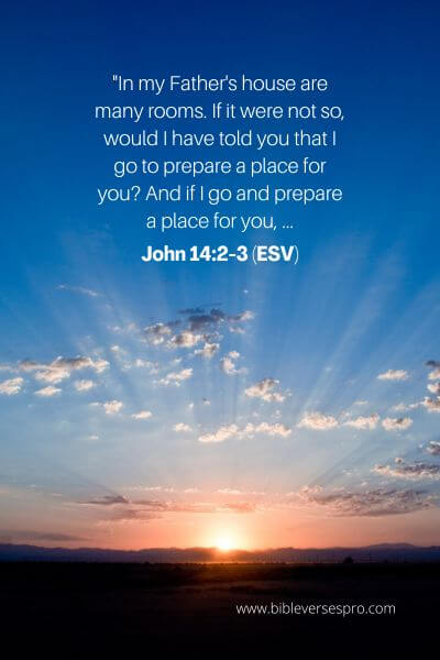 John 14_2-3 (Esv)