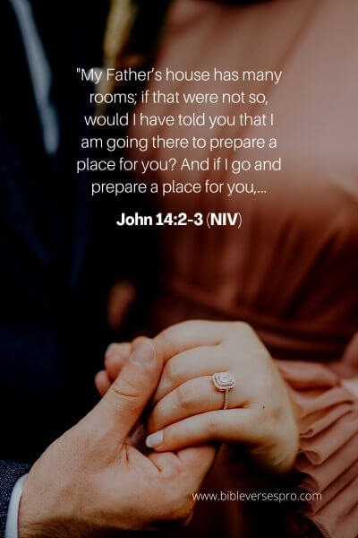 John 14_2-3 (Niv)