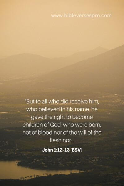 John 1_12-13 (Esv)