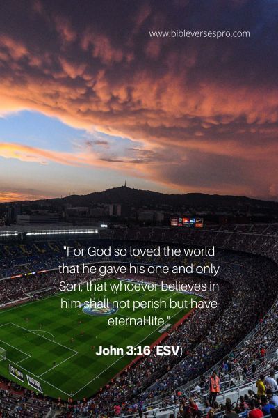 John 3_16 (ESV)
