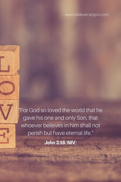 John 3_16 (Niv)