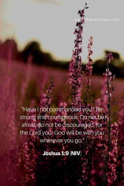 Joshua 1_9 (Niv)