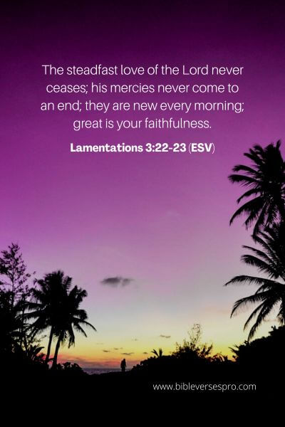 Lamentations 3_22-23 (ESV)