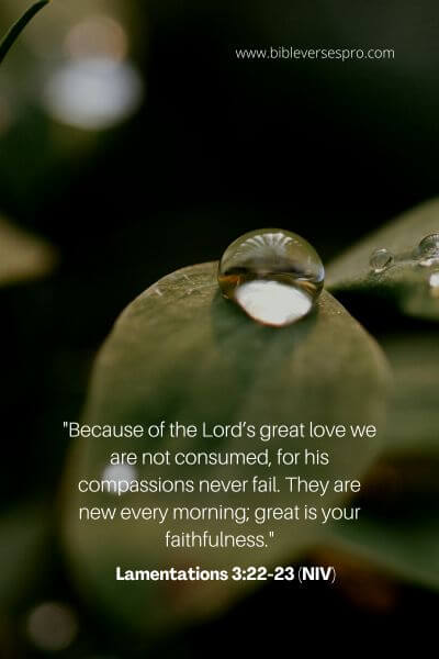 Lamentations 3_22-23 (Niv)