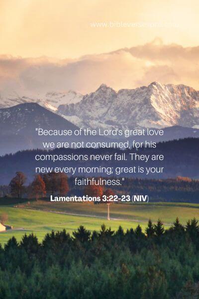 Lamentations 3_22-23 (NIV)