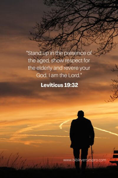 Leviticus 19_32