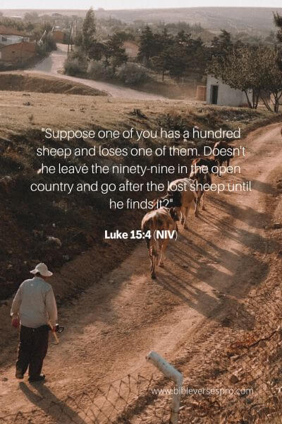 Luke 15_4 (Niv)