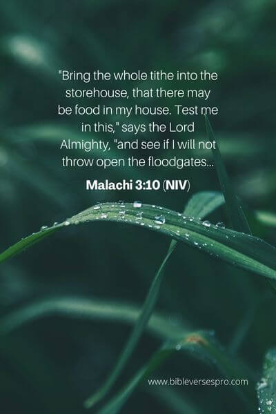 Malachi 3_10 (NIV)