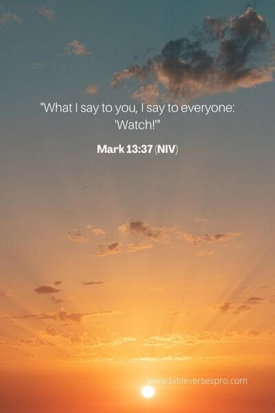 Mark 13_37 (NIV)