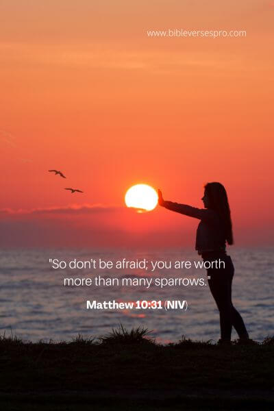 Matthew 10_31 (Niv)