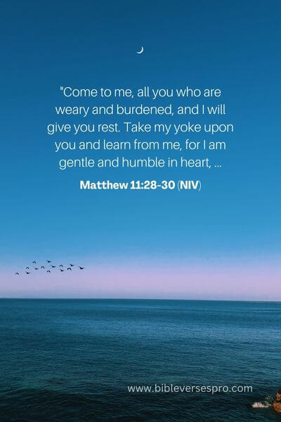 Matthew 11_28-30 (NIV)