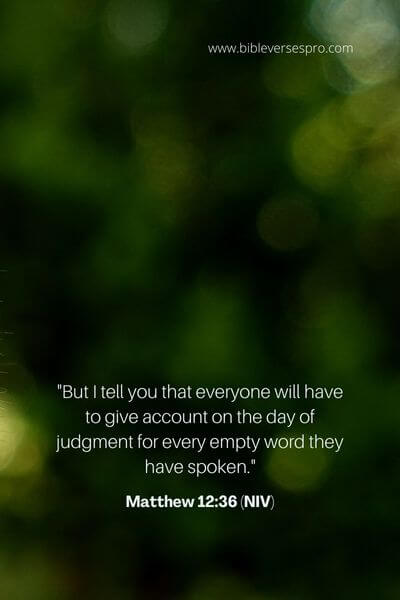 Matthew 12_36 (NIV)