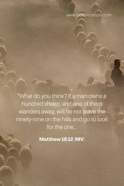 Matthew 18_12 (Niv)