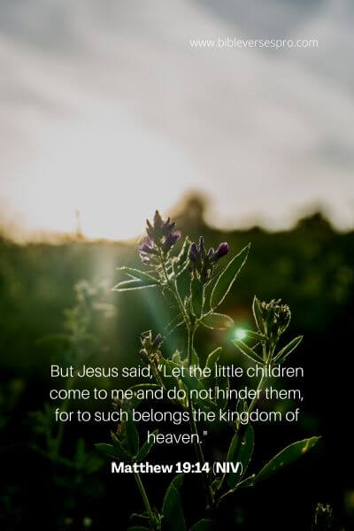Matthew 19_14 (Niv)