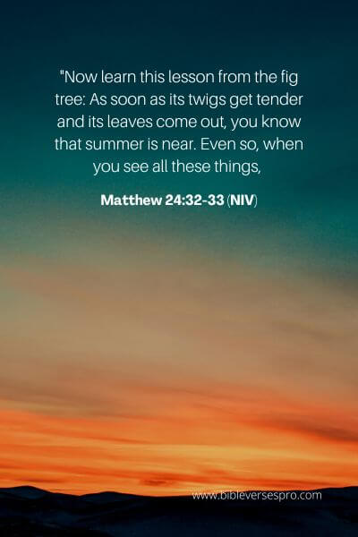 Matthew 24_32-33 (Niv)
