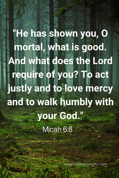 Bible Verse About Standing Up For What Is Right